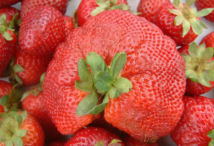 Strawberries California