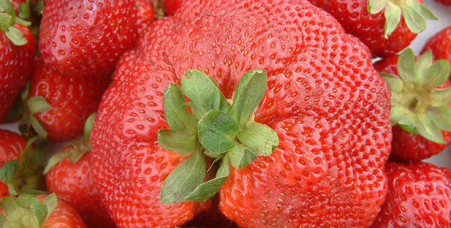 Strawberries California