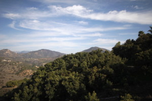 Avocado farms near Valley Center.  Photo: David McNew/Getty Images)