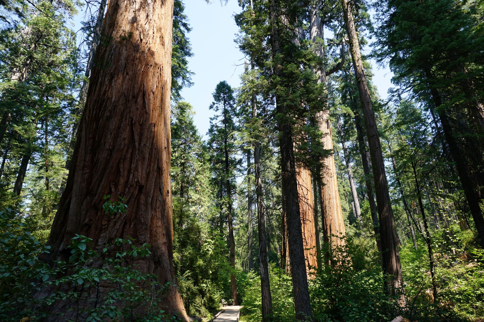 California must create climate-resilient state parks