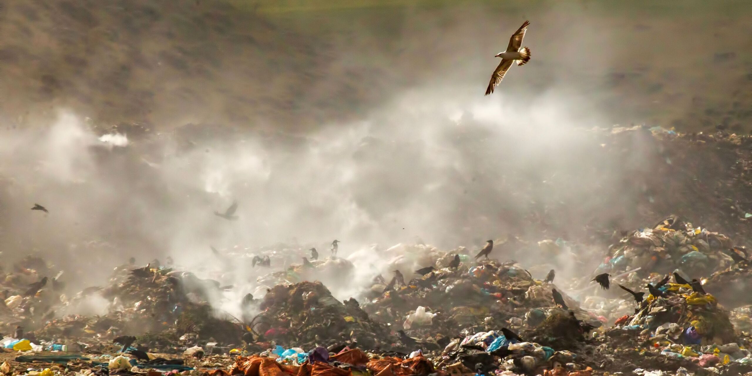 California can help lead on climate by cleaning up our landfills