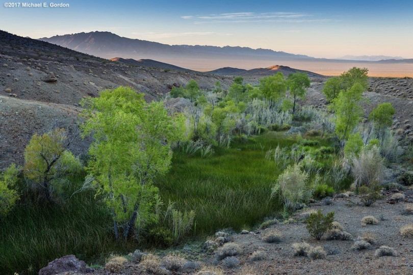 Lawmakers should safeguard Mojave water and environment