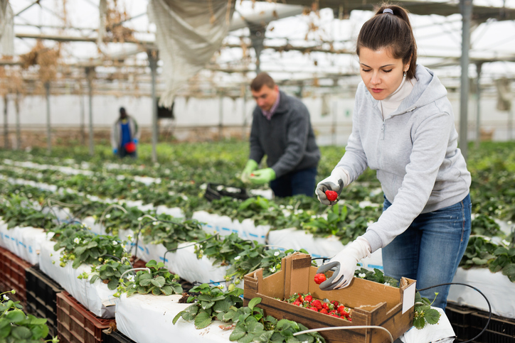 Women farmers feed the state while protecting the land